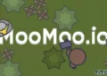 moomoo